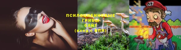 СК Верея