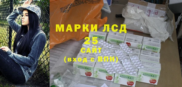 экстази Бородино