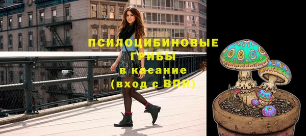 а пвп мука Бугульма
