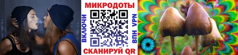 ОМГ ОМГ зеркало  Горно-Алтайск  Псилоцибиновые грибы MAGIC MUSHROOMS  хочу наркоту 