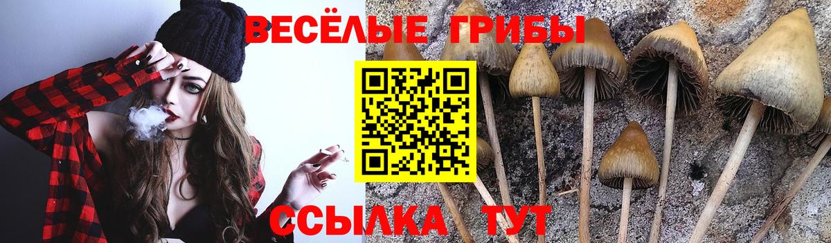 Горно-Алтайск  Галлюциногенные грибы прущие грибы  Псилоцибиновые грибы мицелий  Вход с VPN 